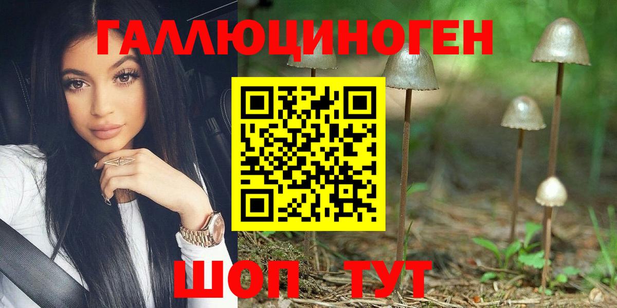 Псилоцибиновые грибы MAGIC MUSHROOMS  Вход с VPN  Псилоцибиновые грибы GOLDEN TEACHER  Сергиев Посад 