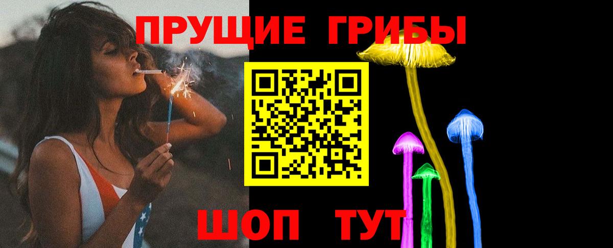 Псилоцибиновые грибы Psilocybine cubensis Сергиев Посад